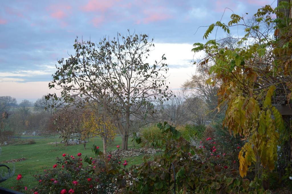 Rose Cottage Bed & Breakfast Fairplay Camera foto