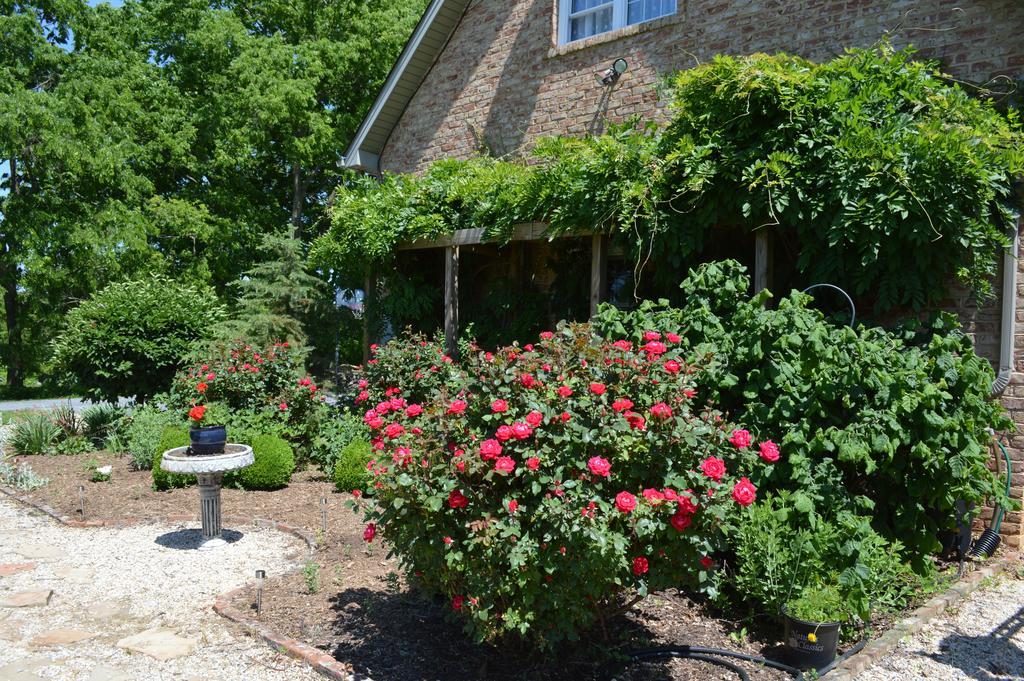 Rose Cottage Bed & Breakfast Fairplay Esterno foto